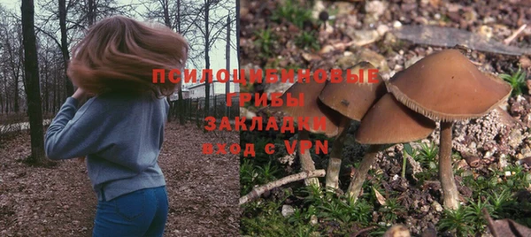 стафф Арсеньев