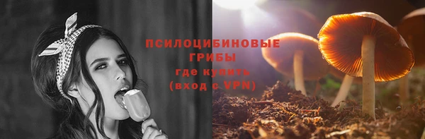 прущий лед Армянск