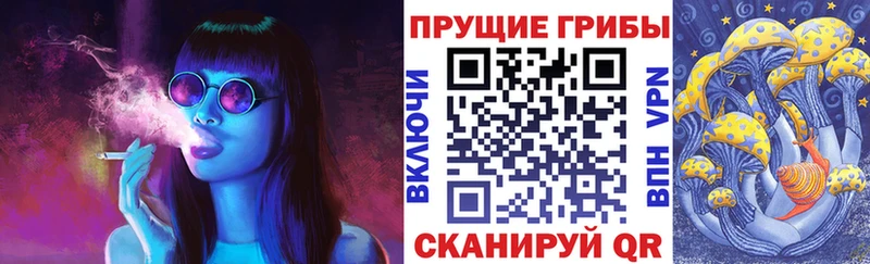Галлюциногенные грибы Cubensis  как найти закладки  Нововоронеж 